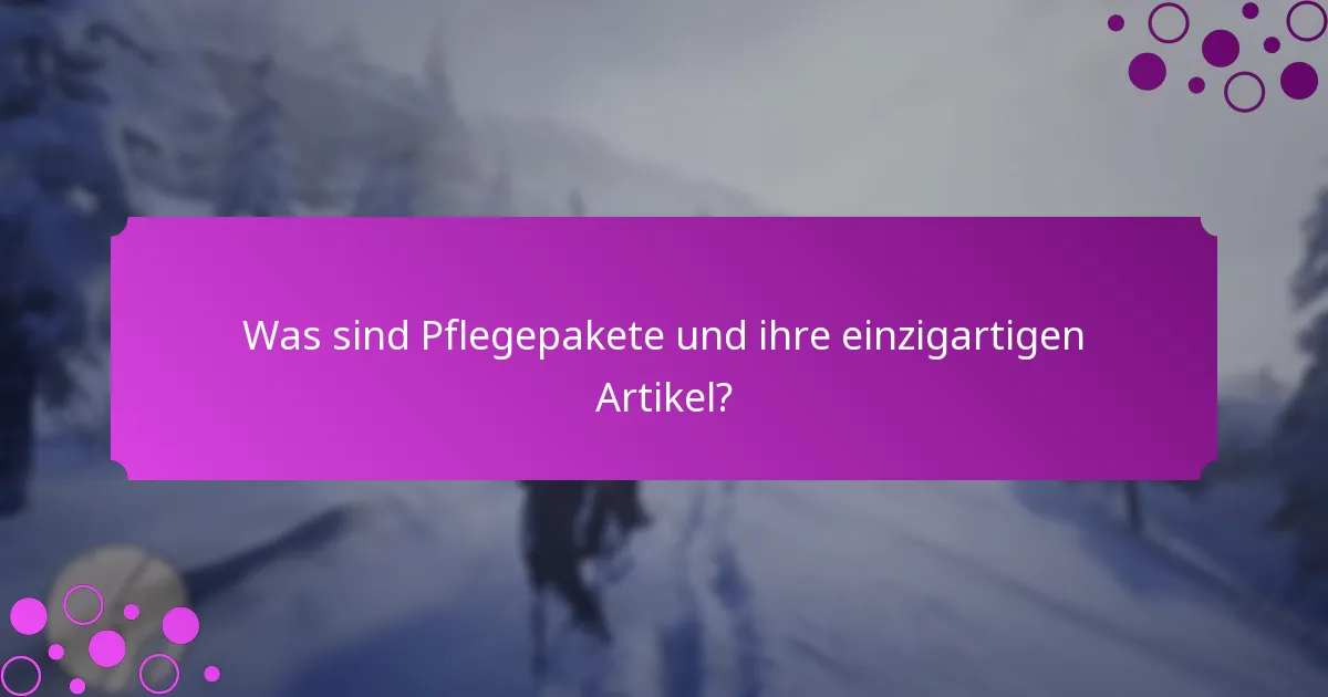 Welche Anbieter von Pflegepaketen bieten die besten Optionen?